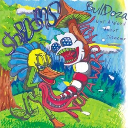 BullDoza - Not A Word About Shrooms (2010) 173